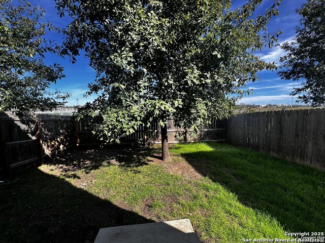 Image 28 of 28 For 16820 Dancing Ava 2