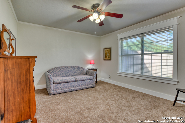 Image 25 of 35 For 1333 Continental Dr S