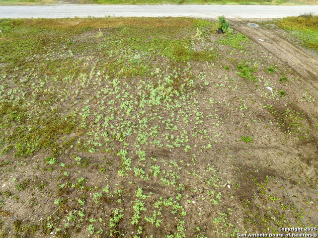 Image 11 of 13 For Lot 2&3 808 N Austin St.