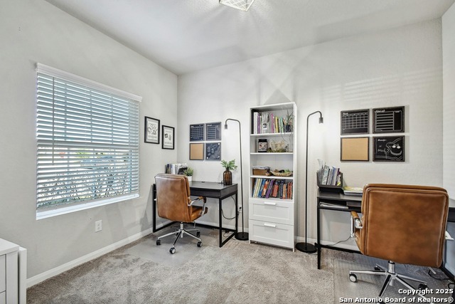 Image 12 of 27 For 31696 Bard  