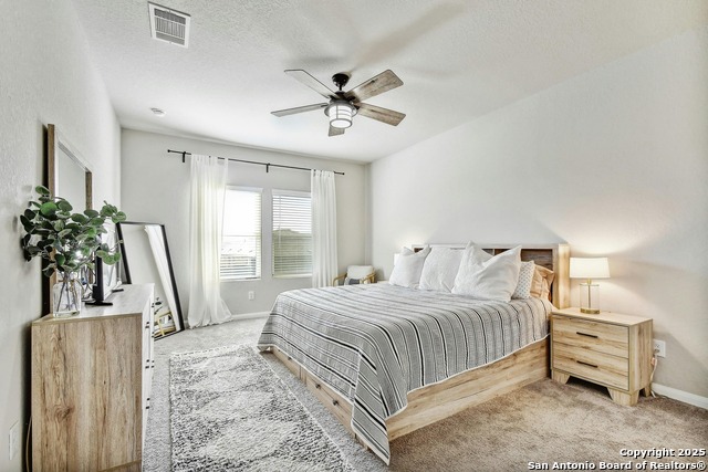 Image 13 of 27 For 31696 Bard  