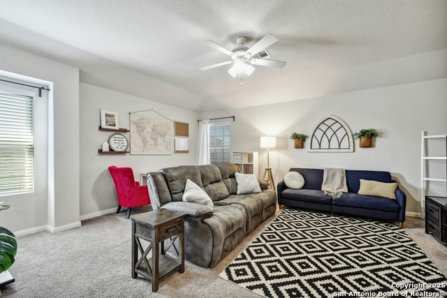 Image 17 of 27 For 31696 Bard  