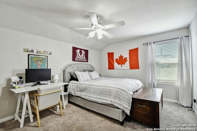 Image 19 of 27 For 31696 Bard  