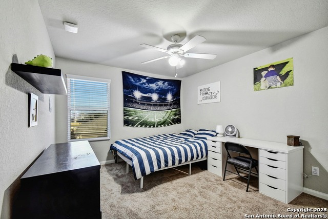 Image 22 of 27 For 31696 Bard  