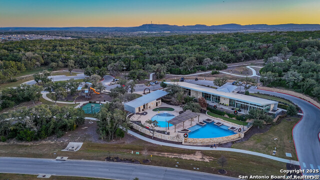 Image 27 of 27 For 31696 Bard  