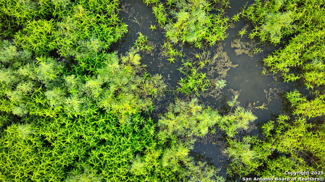 Listing photo id 8 for 000 Tx 97  