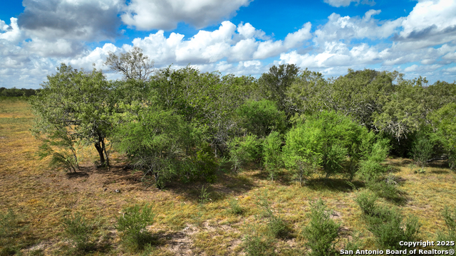 Listing photo id 11 for 000 Tx 97  