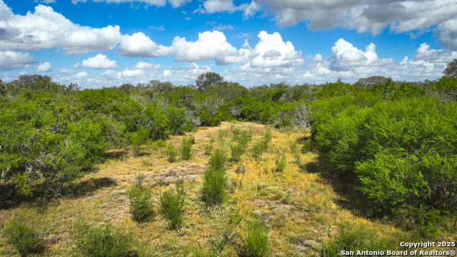 Listing photo id 14 for 000 Tx 97  