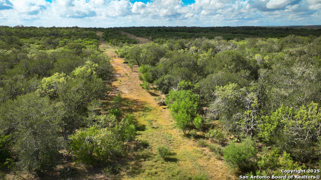 Listing photo id 15 for 000 Tx 97  