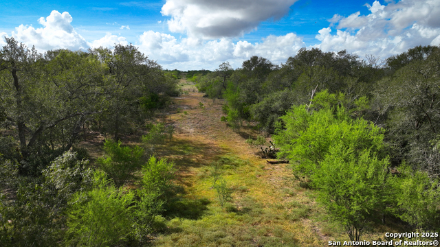 Listing photo id 16 for 000 Tx 97  