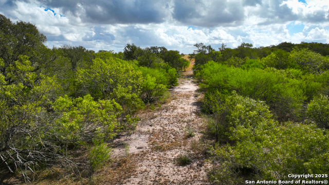 Listing photo id 17 for 000 Tx 97  