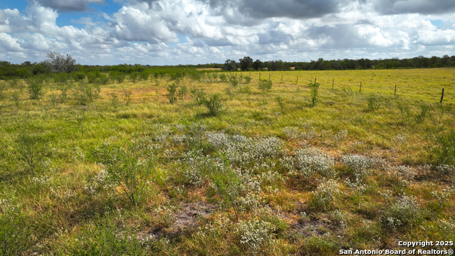 Listing photo id 18 for 000 Tx 97  