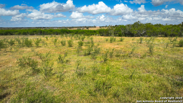 Listing photo id 19 for 000 Tx 97  