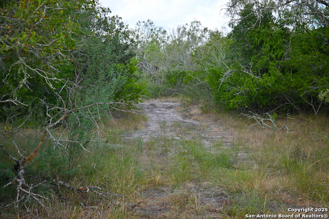 Listing photo id 22 for 000 Tx 97  