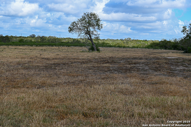 Listing photo id 24 for 000 Tx 97  