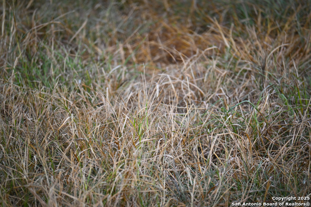 Listing photo id 25 for 000 Tx 97  