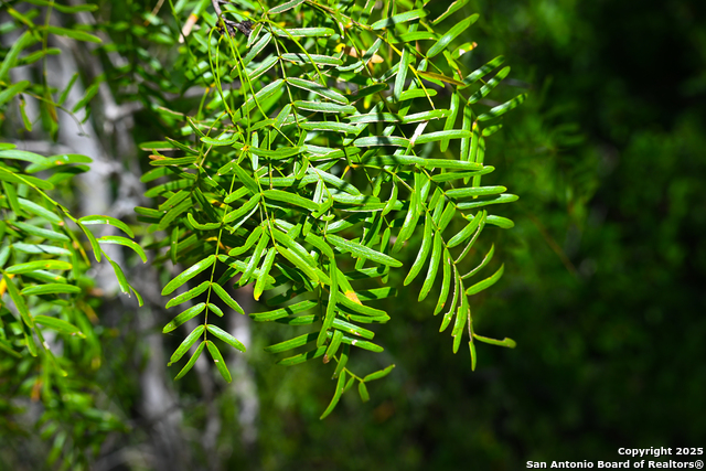 Listing photo id 27 for 000 Tx 97  