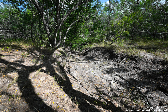 Listing photo id 28 for 000 Tx 97  