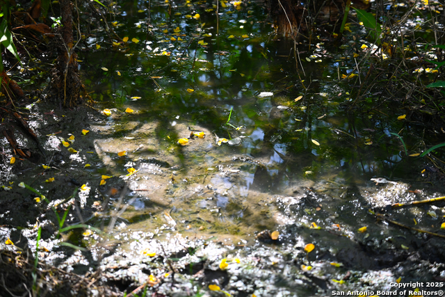 Listing photo id 29 for 000 Tx 97  