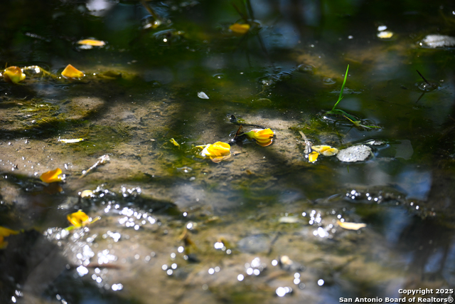 Listing photo id 30 for 000 Tx 97  