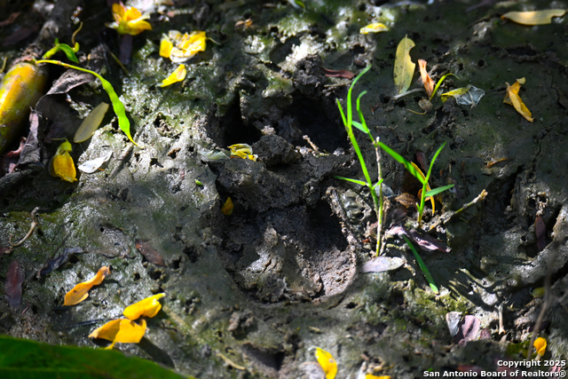 Listing photo id 33 for 000 Tx 97  