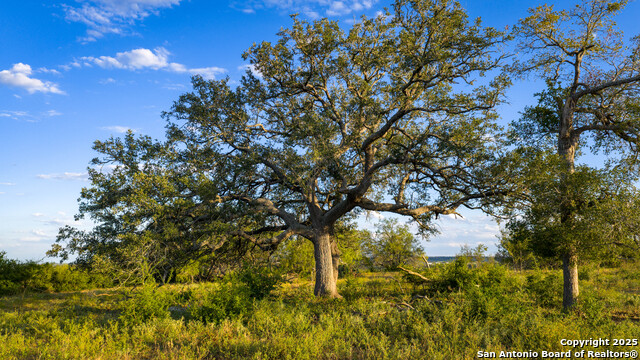 Listing photo id 8 for 4350 Fm 1339