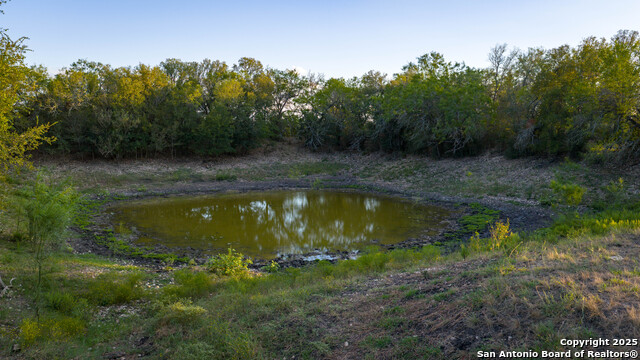 Listing photo id 11 for 4350 Fm 1339