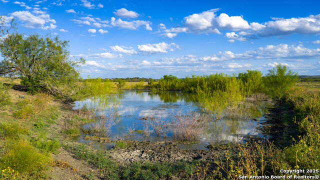 Listing photo id 13 for 4350 Fm 1339