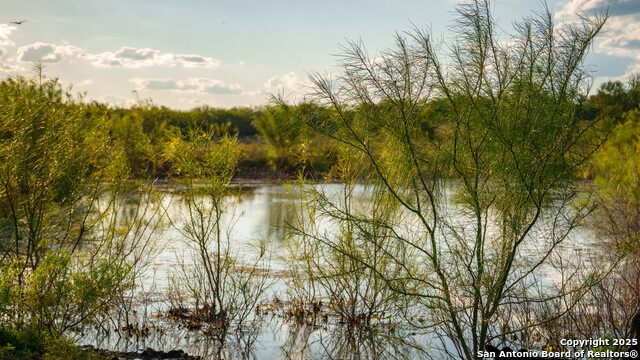 Listing photo id 20 for 4350 Fm 1339