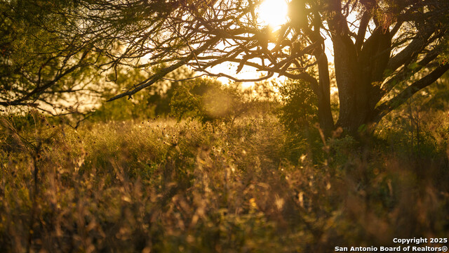 Listing photo id 22 for 4350 Fm 1339