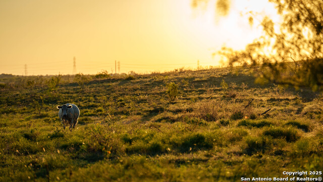 Listing photo id 23 for 4350 Fm 1339