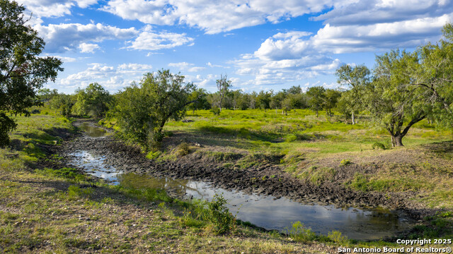 Listing photo id 26 for 4350 Fm 1339