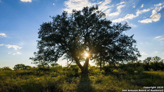 Listing photo id 1 for 4350 Fm 1339