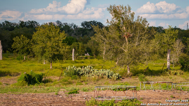 Listing photo id 28 for 4350 Fm 1339