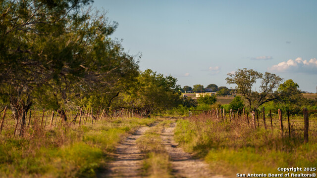 Listing photo id 34 for 4350 Fm 1339