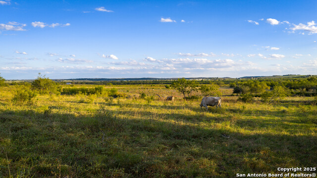 Listing photo id 7 for 4350 Fm 1339