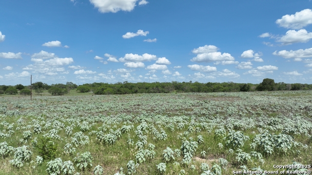 Image 5 of 11 For 138 Cr 476  