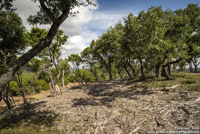 Image 14 of 31 For 322 Mitchell Dr