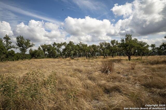 Image 16 of 31 For 322 Mitchell Dr