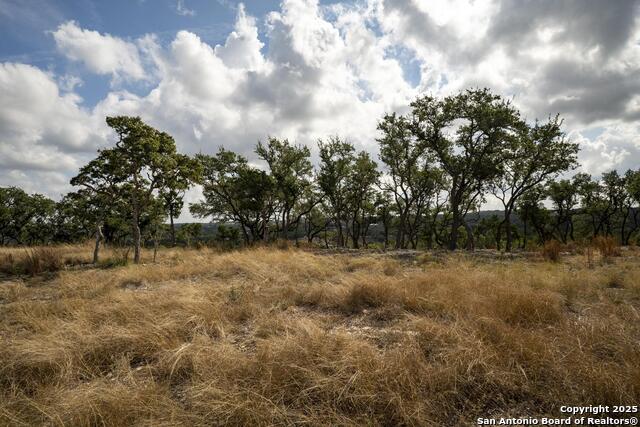 Image 17 of 31 For 322 Mitchell Dr