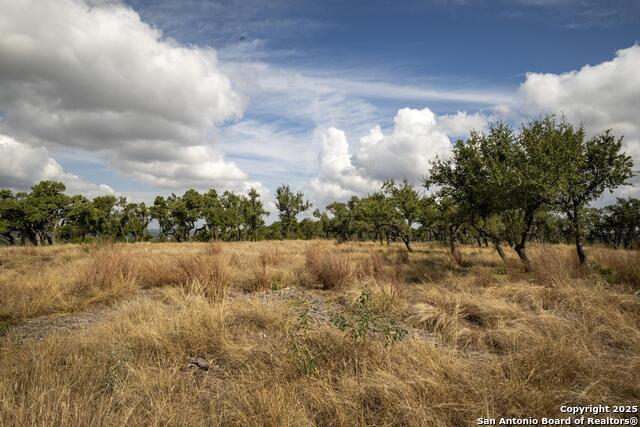 Image 18 of 31 For 322 Mitchell Dr