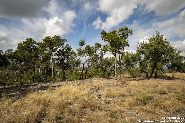 Image 19 of 31 For 322 Mitchell Dr