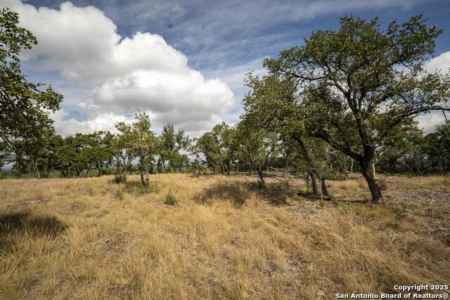 Image 22 of 31 For 322 Mitchell Dr