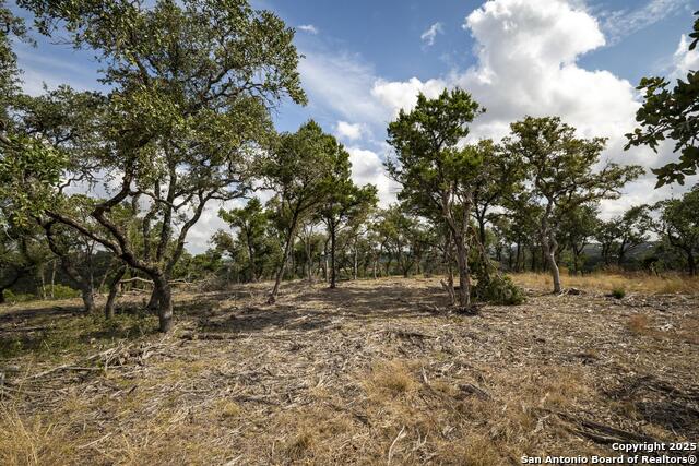 Image 23 of 31 For 322 Mitchell Dr