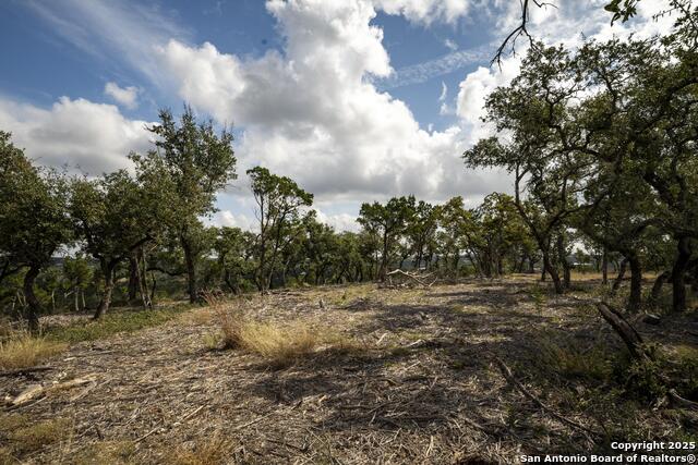 Image 24 of 31 For 322 Mitchell Dr