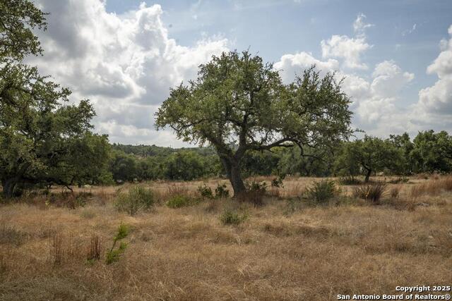 Image 26 of 45 For 227 Mitchell Dr