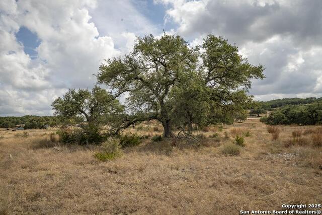 Image 30 of 45 For 227 Mitchell Dr