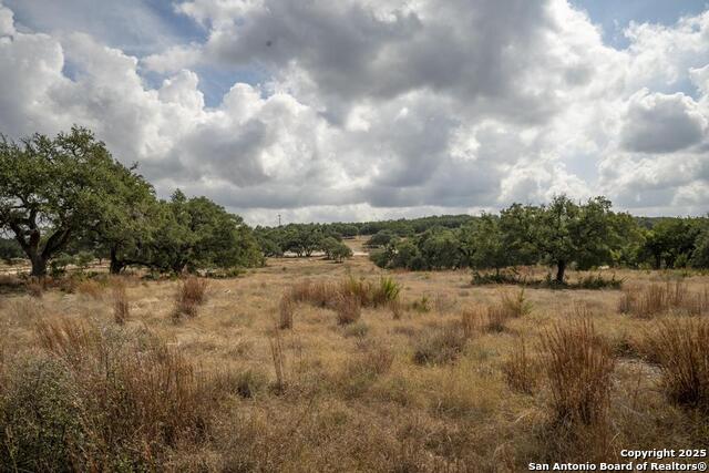 Image 31 of 45 For 227 Mitchell Dr