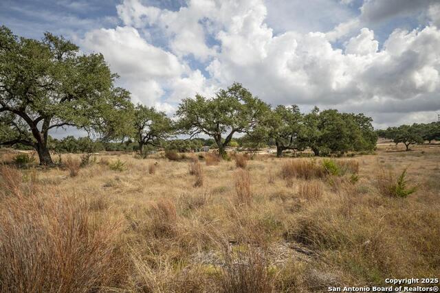 Image 32 of 45 For 227 Mitchell Dr