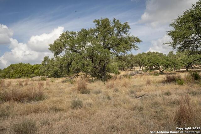 Image 36 of 45 For 227 Mitchell Dr